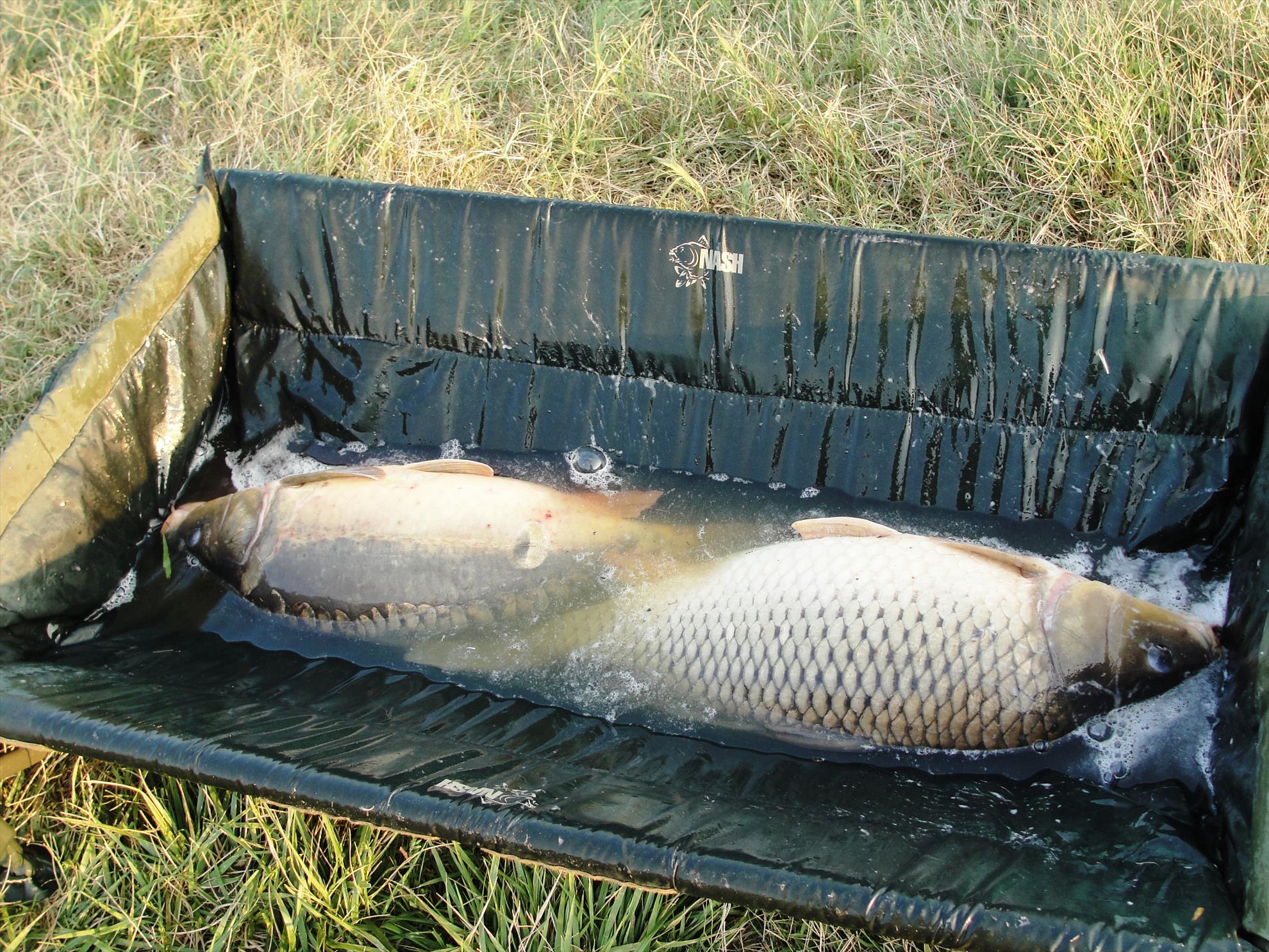 Moara Vlasiei 2 12 - 14 aug. - dsc01365.JPG